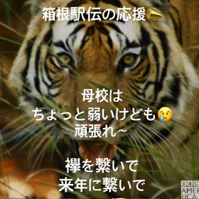 お正月３日目✨の画像