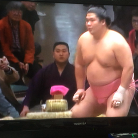 大相撲 十両  宇良  幕内  遠藤の画像