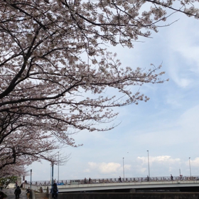 お花見・・・（≧∇≦）の画像