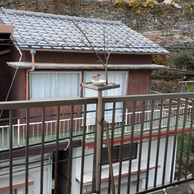 慣れてきたの画像