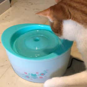 新参者がやってきたー☺︎の画像