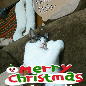 メリークリスマスの画像