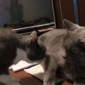 女の子には敵わんの画像