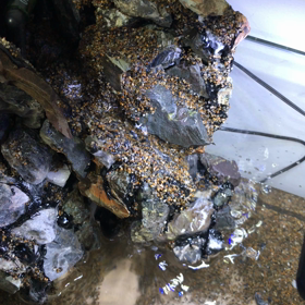 テラリウム改‥the用水路の景色の画像