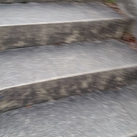 朝の散歩の画像