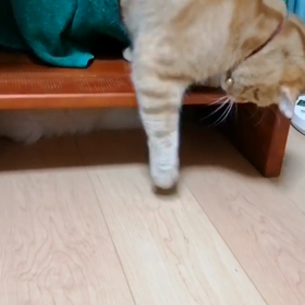 生後５８日　ちょっと優しくしてよー！の画像