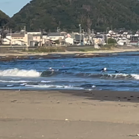 いつも通りの画像