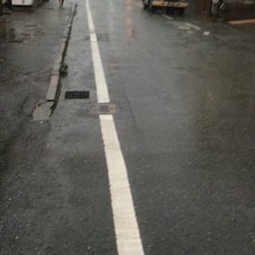 春時雨の画像