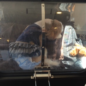 ⬛️3/22〜3/28＊酸素カプセルご利用のお友達⬛️2の画像