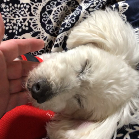 気持ちいいだろぉの画像