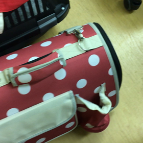 ちくわの圧。の画像