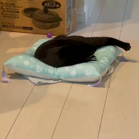 暑さとの戦いの画像