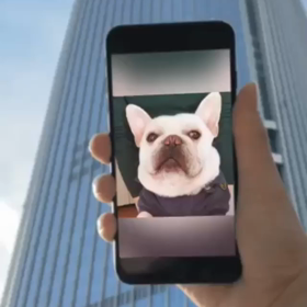 世界にはばたく？の画像