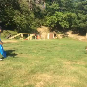 サキ 防衛の画像