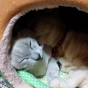 モナたんloveのなっちゃんの画像