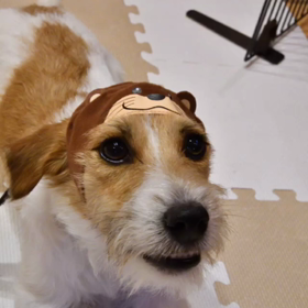 ロビンのぼやき(^_^;)の画像