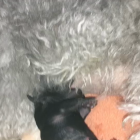 まだ気は抜けない…(@_@)の画像