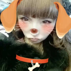 わんだほー▽^ェ^▽の画像