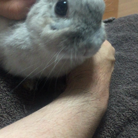 秘技！おみみニギニギマッサージのホラーな画像の画像