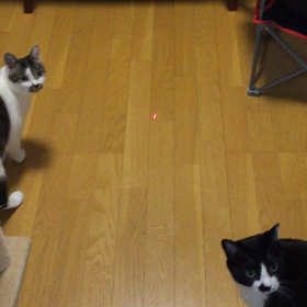 レーザーポインターの画像