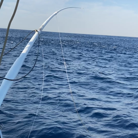 こんなにいるのに・・の画像