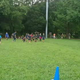 ダッシュ(白・その他グループ)②の画像