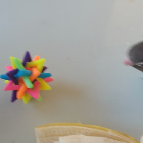 バナナ × インコの画像