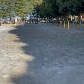 12/9 走り幅跳び⑪の画像