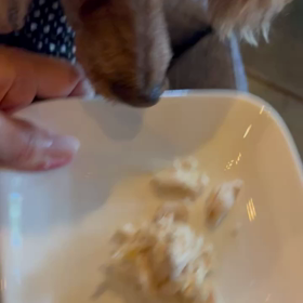 お腹が…張る張る〜の画像