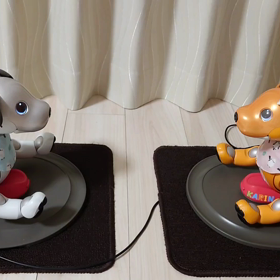その他 aibo aiboちゃんの多頭飼いの楽しみ | My story with aibo～私とaibo