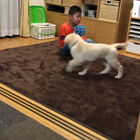 ひびきと遊ぶと…の画像