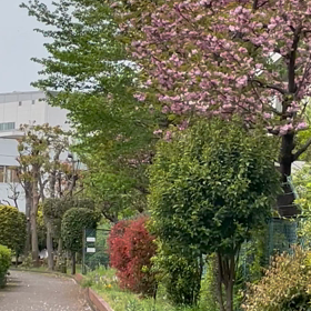 旅の途中の画像