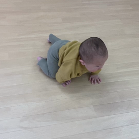 ハイハイがじょうずー！！の画像