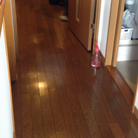 狂犬病予防注射の画像