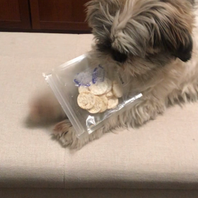 絶対零度　シーズン4 第1話の画像