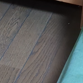 なにやらの画像