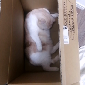 さっそくブログが滞る…の画像