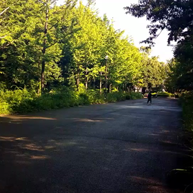 ８月１日 記録会③の画像