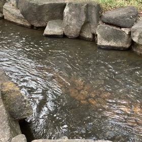 親水公園大好き✌の画像