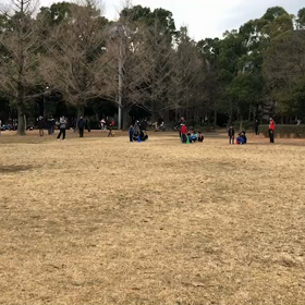 低学年リングバトン第２レース①の画像