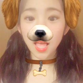 わんちゃんの動画♪の画像