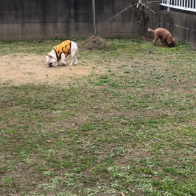 獲  物 発見！の画像