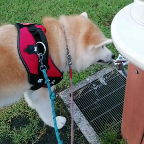 一晩で400mm豪雨の衝撃‼️静岡市街中を中心に停電が半日以上続き、商店街の休業、友人の家は真夜の画像