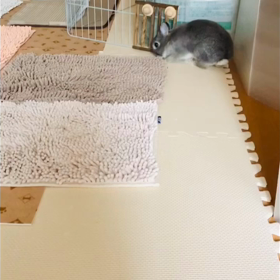 のんちゃん朝のルーティンの画像