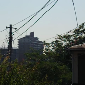 ウグイスさん～の画像