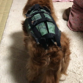 今朝は、、、の画像