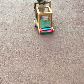 猫による癒し(*´꒳`*)の画像