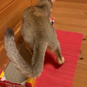 片付けてもの画像