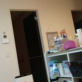 ＊愛なんだ＊の画像