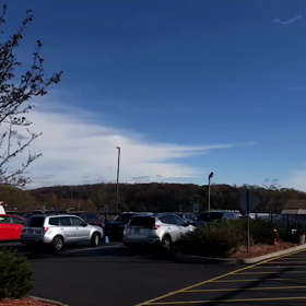 スチューレオナードからお届け♪の画像